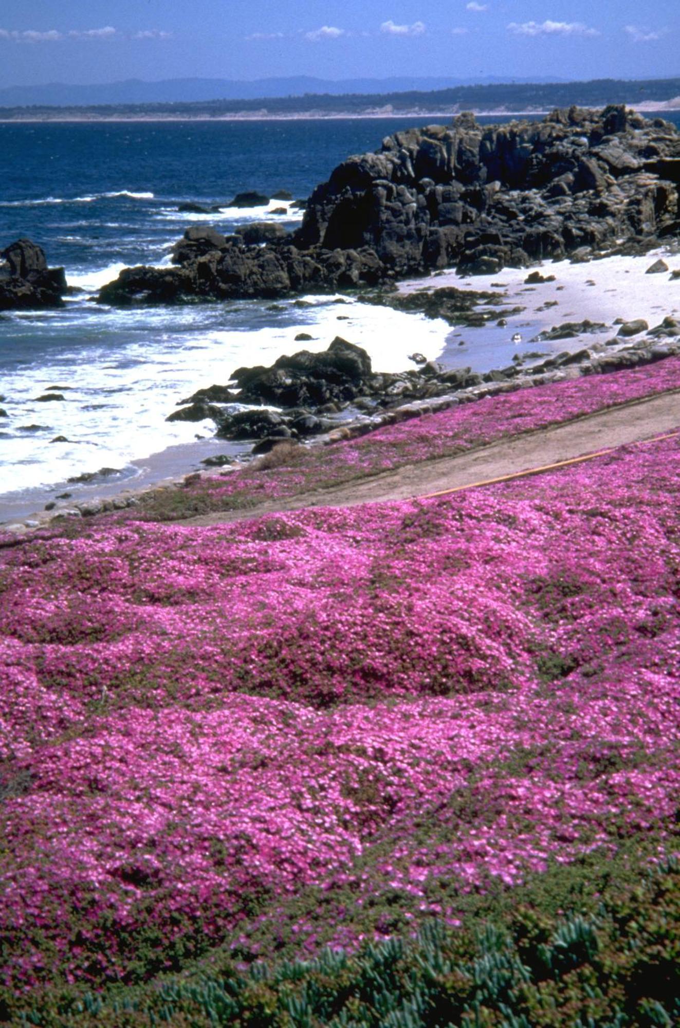Spindrift Inn Monterey Buitenkant foto